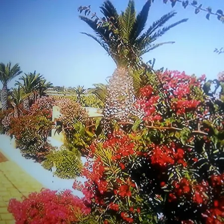 Apartment In Marsala, With Pool Access, Enclosed Garden And Wifi - 250 M